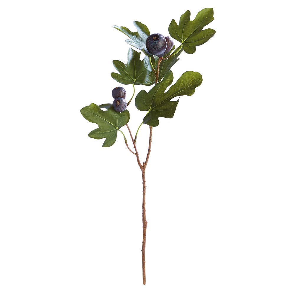 Fig Stem With Figs 21.5"