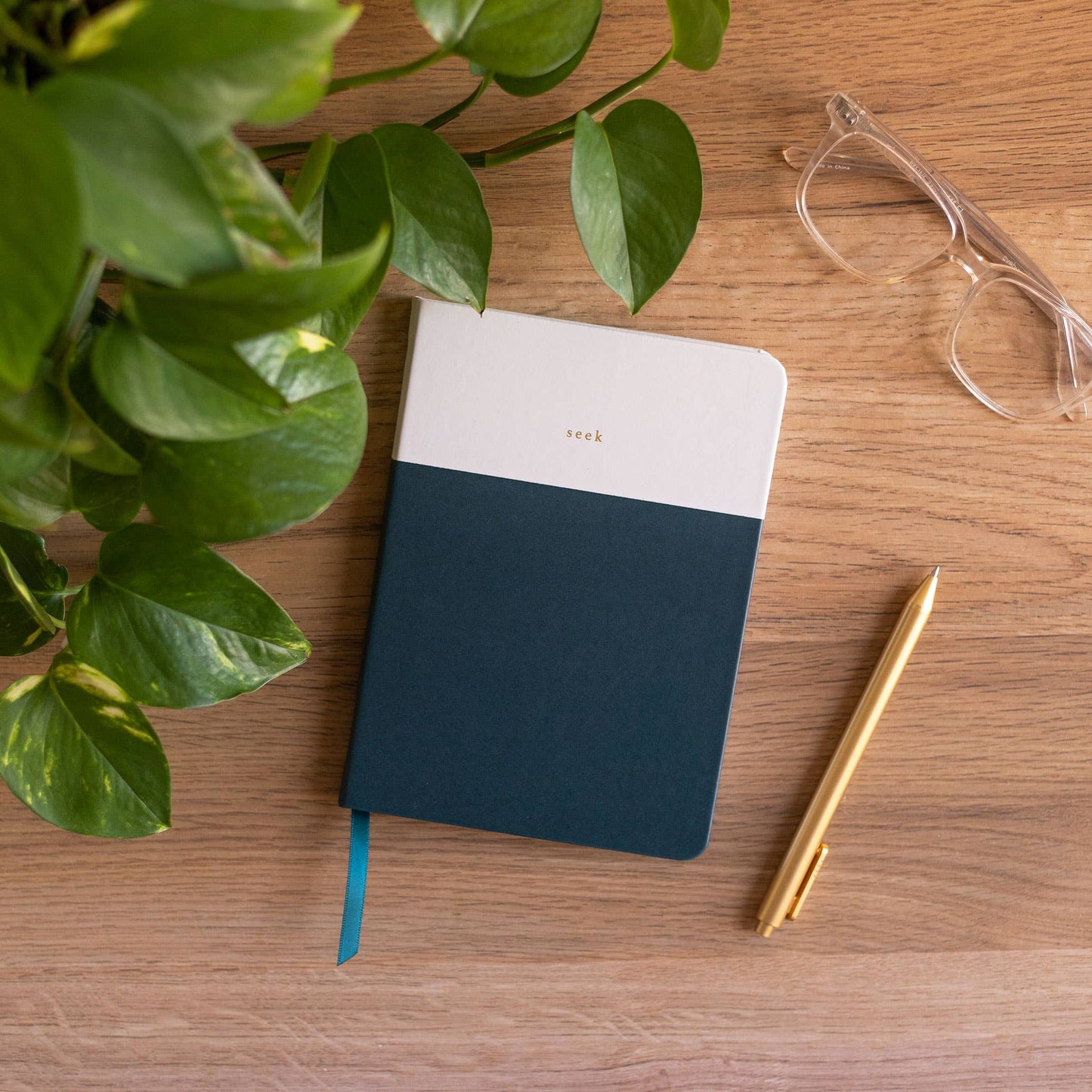 Seek Lined Journal
