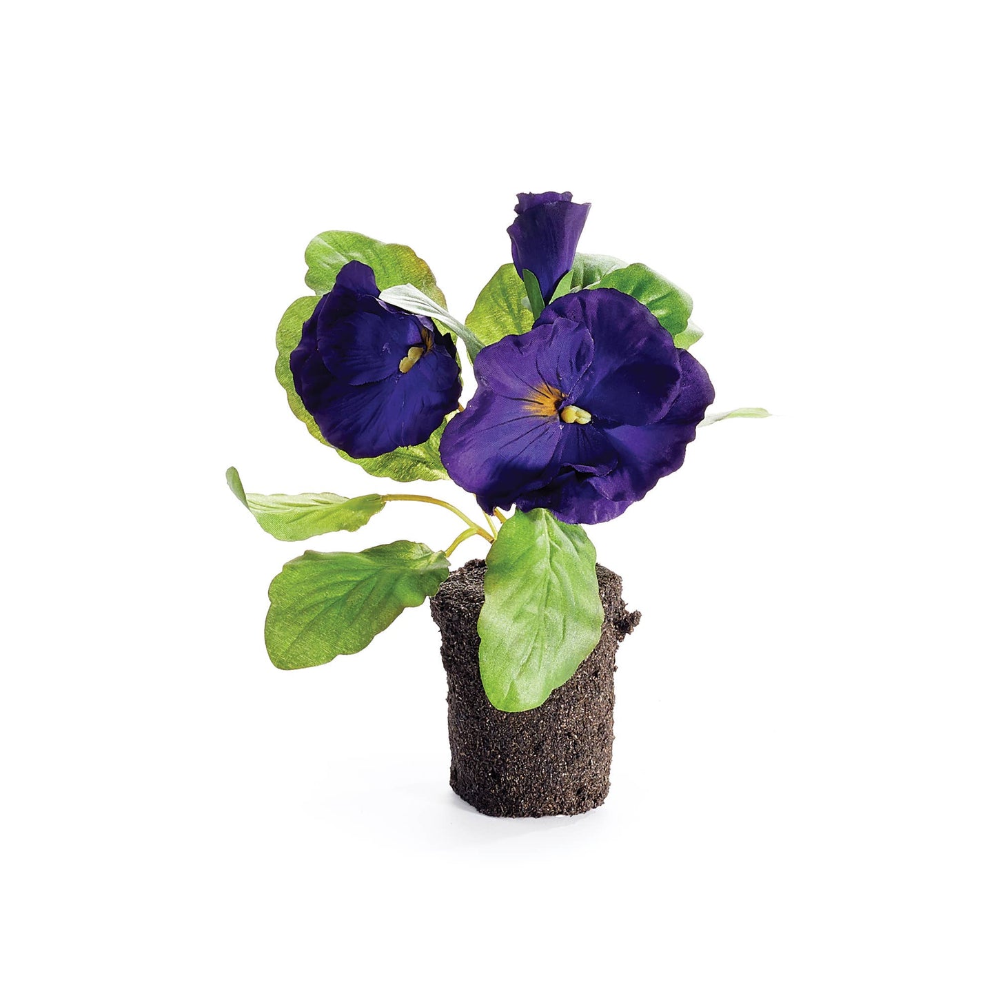 Pansy Drop-In 6.5"-Purple