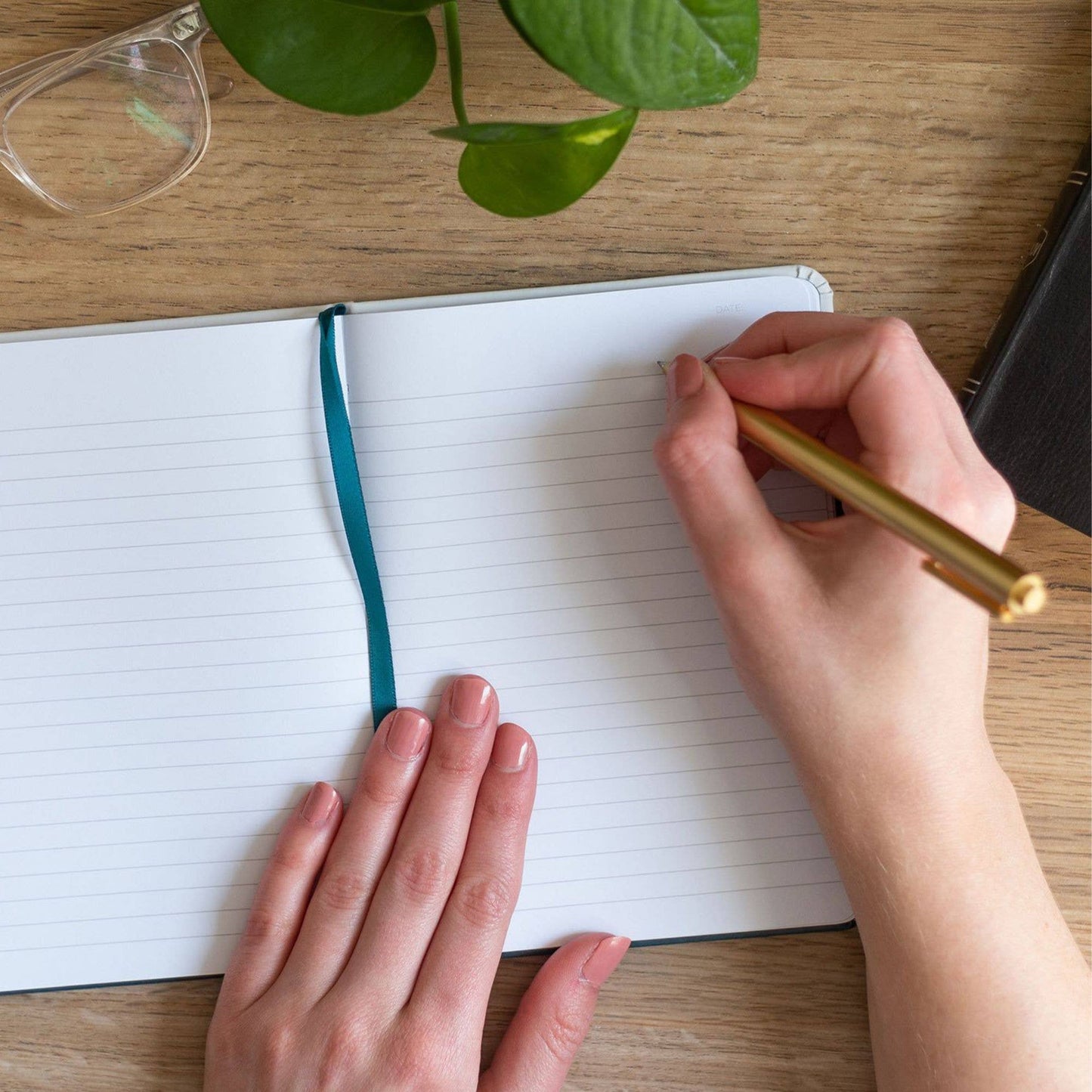 Seek Lined Journal