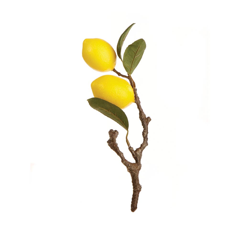 Lemon Cutting 11"