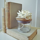 Flower diffuser with Bamboo and Glass Cup